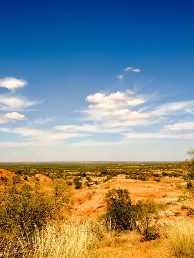 Land Equity Services